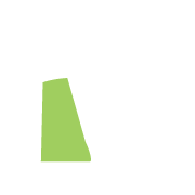 Report an Injury